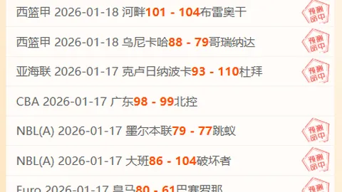 “中联创新探索与面临挑战深度解析”