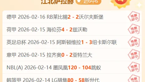 纳莱蒂利奇透露：国际米兰引进佩塔尔-苏契奇详情